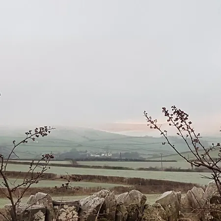Alpehytte Blackberry Ulverston