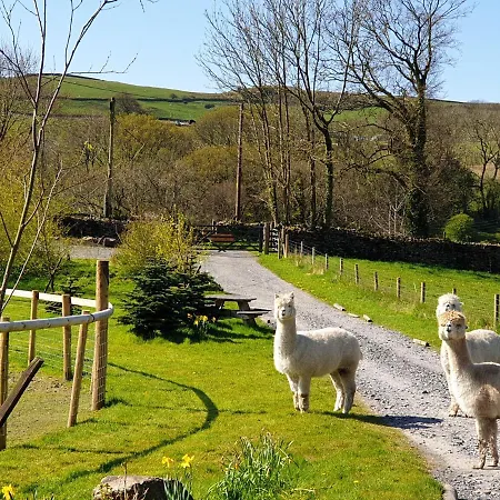 Newland Valley Log Ulverston