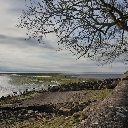 Newland Valley Log *