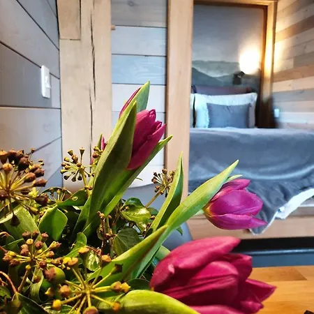 Chalet Newland Valley Log *