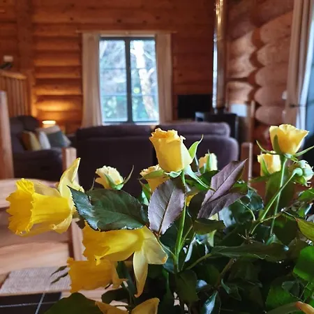 샬레 Newland Valley Log 울버스톤