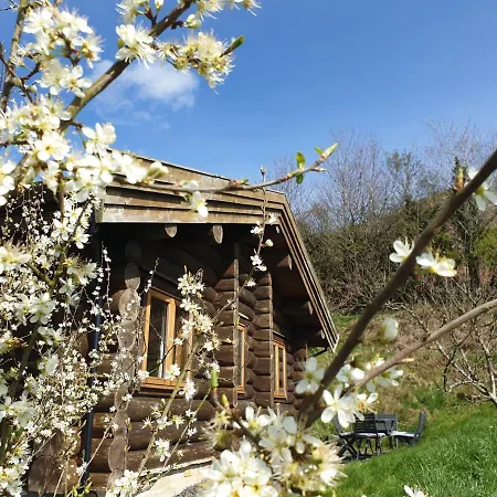 Newland Valley Log *