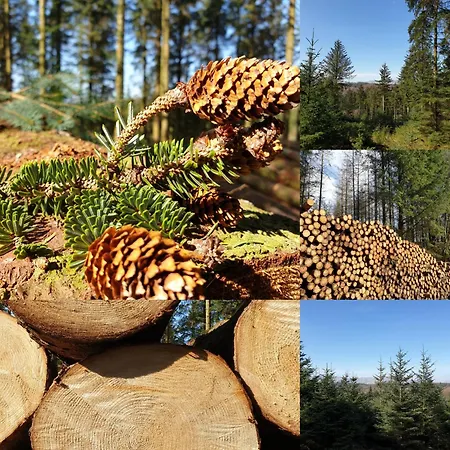 شاليه Newland Valley Log *