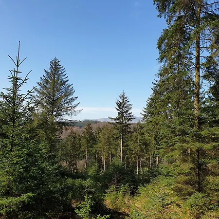 Newland Valley Log * 울버스톤