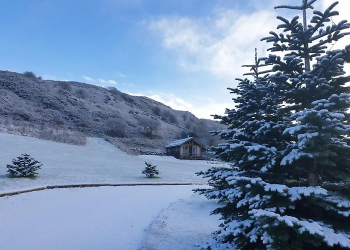 Chalet Newland Valley Log