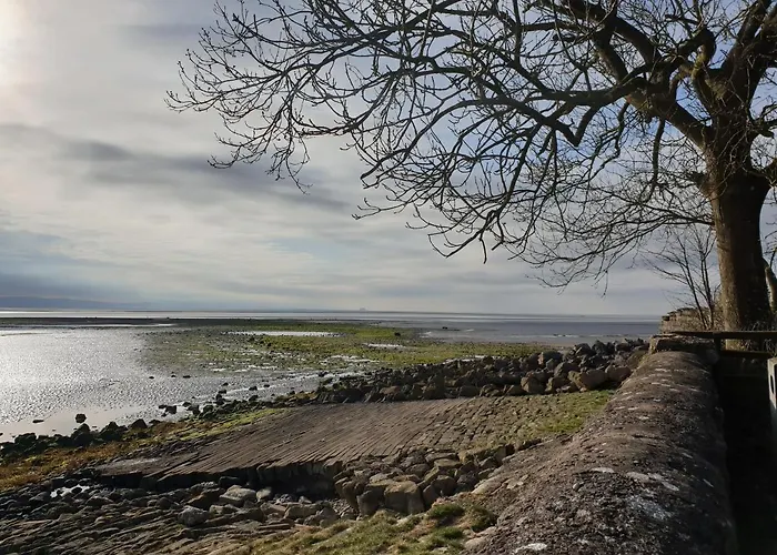 Newland Valley Log *