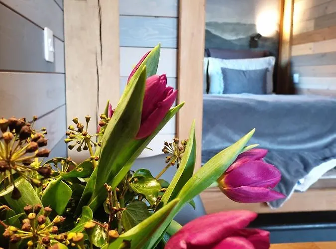 木屋 Newland Valley Log *