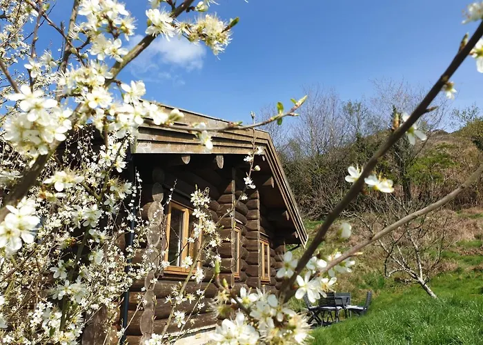 Newland Valley Log *